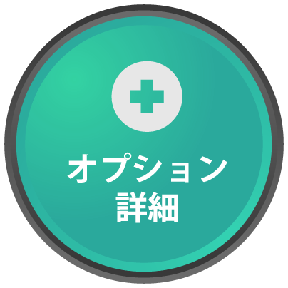 オプション詳細